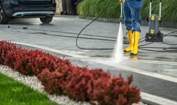 Spring Cleaning in Port Republic, NJ